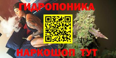 экстази Новозыбков