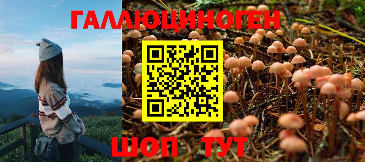 Галлюциногенные грибы мицелий  Вход с VPN  Азнакаево 