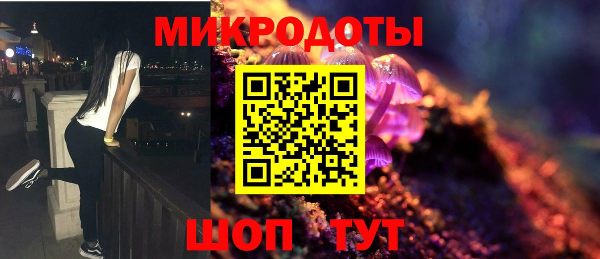 Псилоцибиновые грибы Psilocybe Азнакаево
